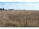 0 Captian Street, Moriarty, NM 87035