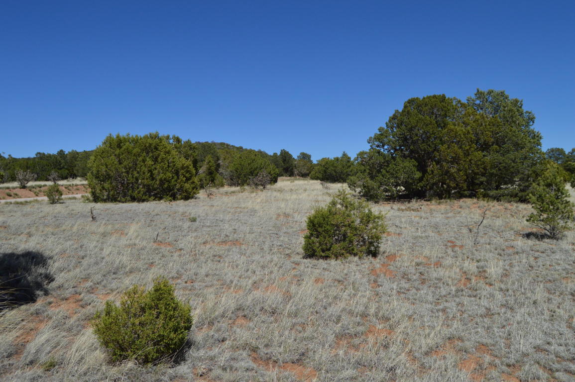 00 Magic Mist, Moriarty, NM 87035