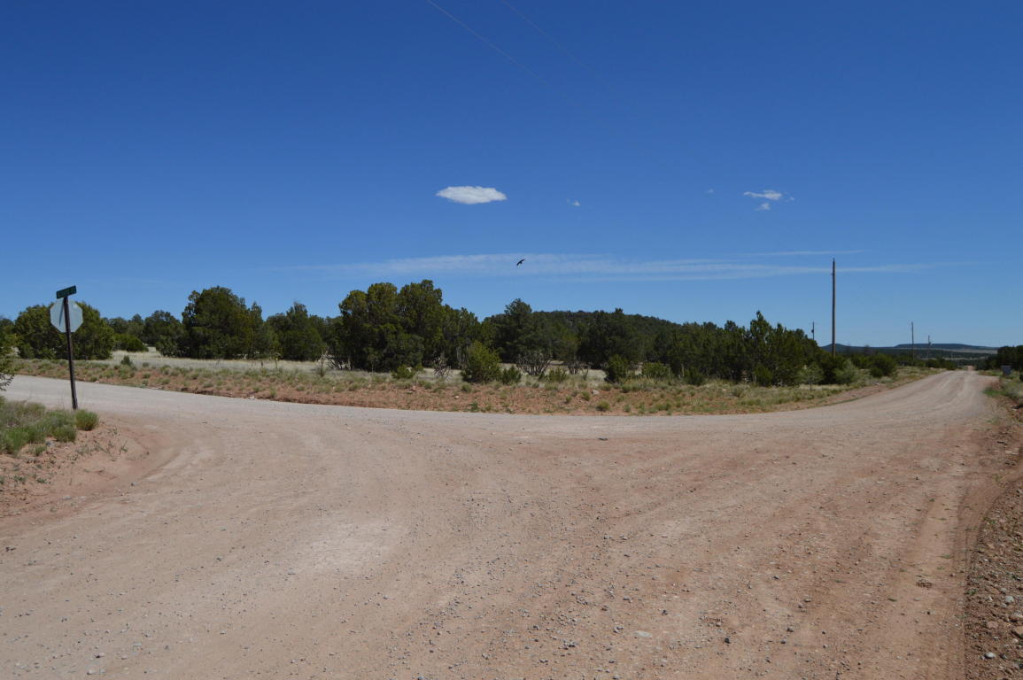 00 Magic Mist, Moriarty, NM 87035