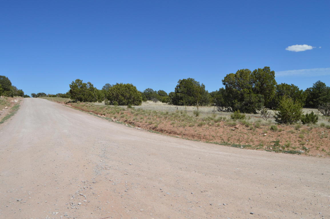 00 Magic Mist, Moriarty, NM 87035