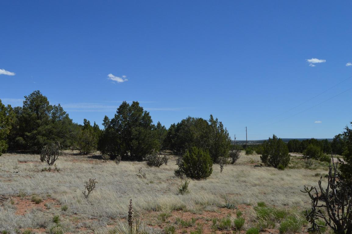 00 Magic Mist, Moriarty, NM 87035
