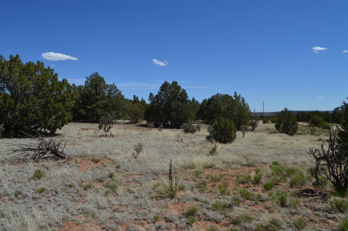 00 Magic Mist, Moriarty, NM 87035