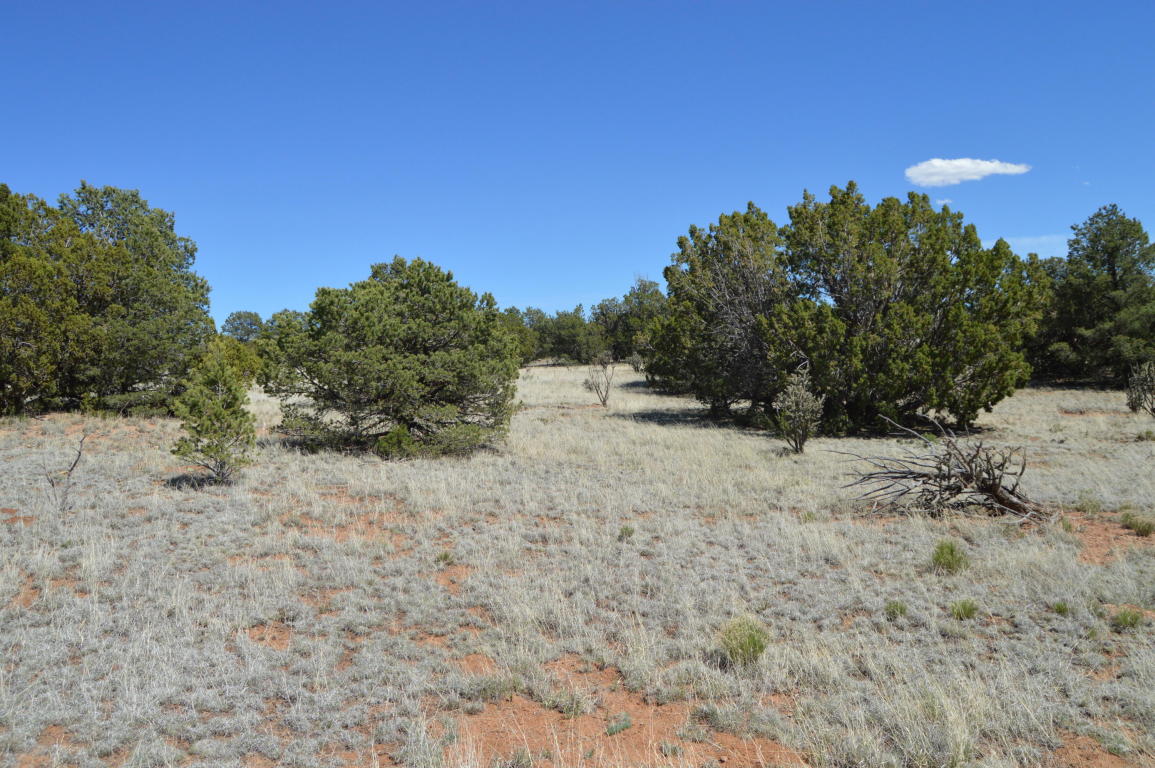 00 Magic Mist, Moriarty, NM 87035