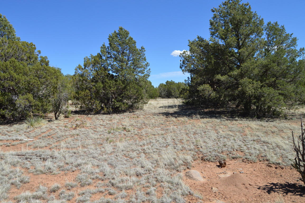 00 Magic Mist, Moriarty, NM 87035