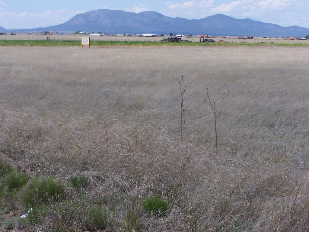 0 Capitan Street, Moriarty, NM 87035