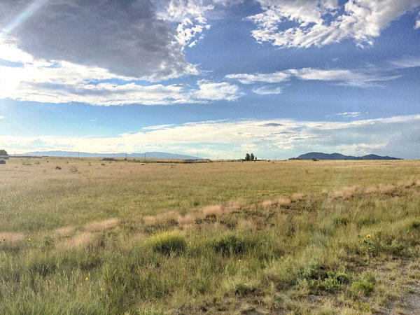 4 MALLOW Drive, Moriarty, NM 87035