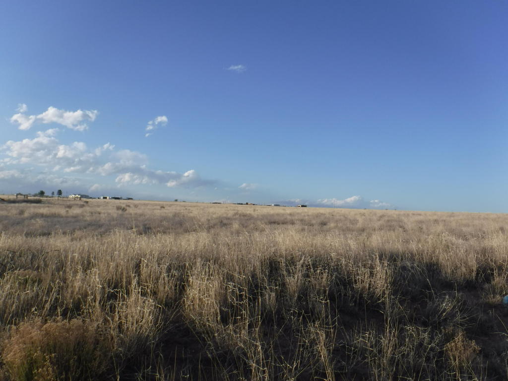 0 Pegasus/E. Steeldust Avenue, Moriarty, NM 87035