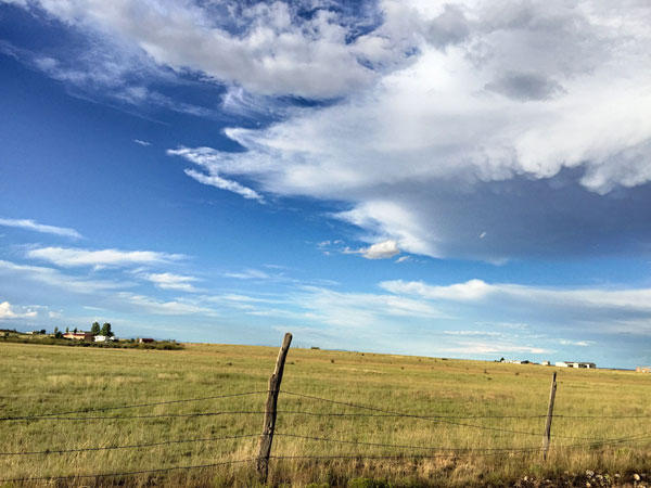 39 NETTLE Road, Moriarty, NM 87035