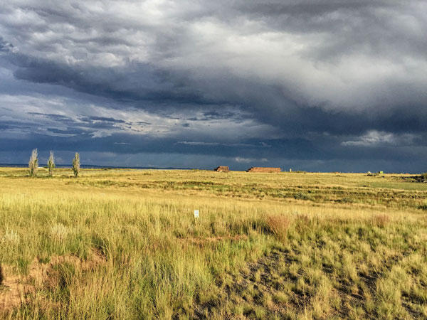 39 NETTLE Road, Moriarty, NM 87035