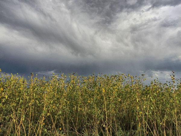 16 NETTLE Road, Moriarty, NM 87035