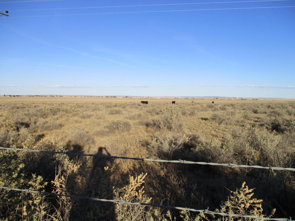 1499 Salt Mission, Moriarty, NM 87035
