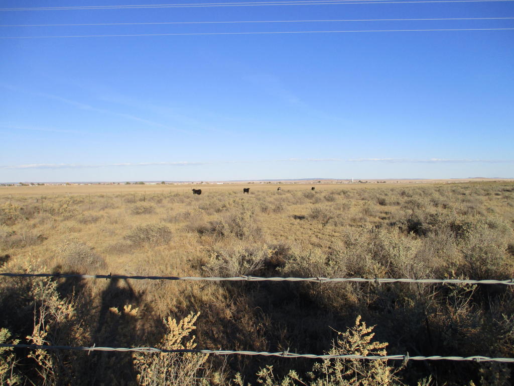 1499 Salt Mission, Moriarty, NM 87035