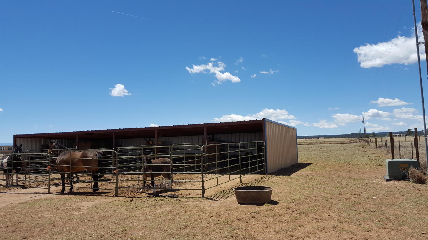 49 Quail Trail, Moriarty, NM 87035