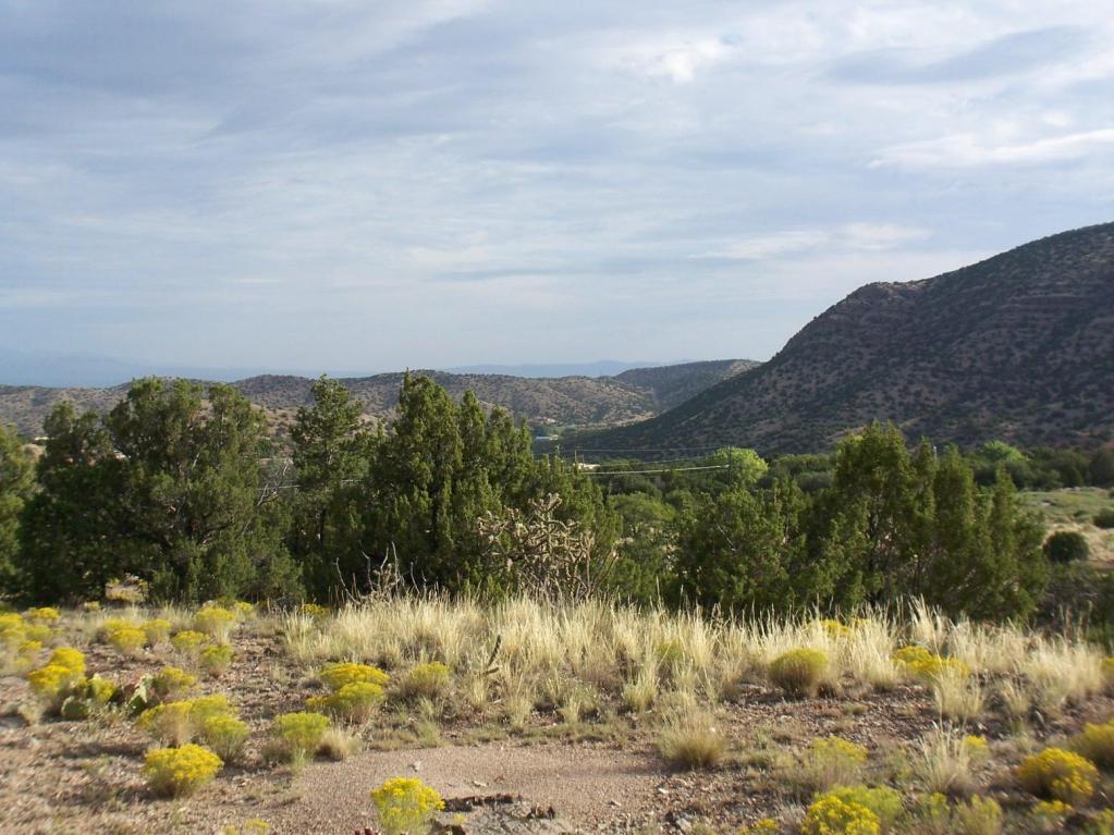 790 HIGHWAY 165, Placitas, NM 87043