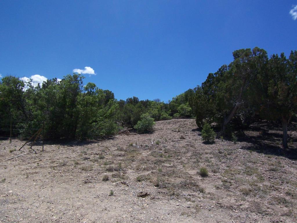 790 HIGHWAY 165, Placitas, NM 87043