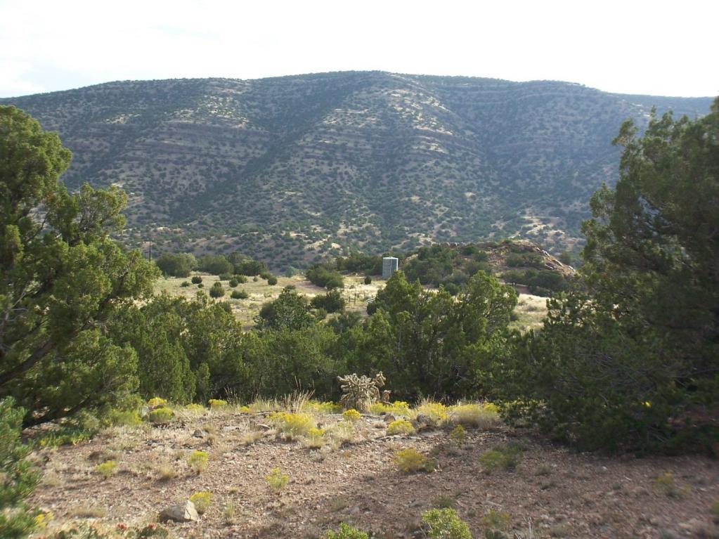 790 HIGHWAY 165, Placitas, NM 87043