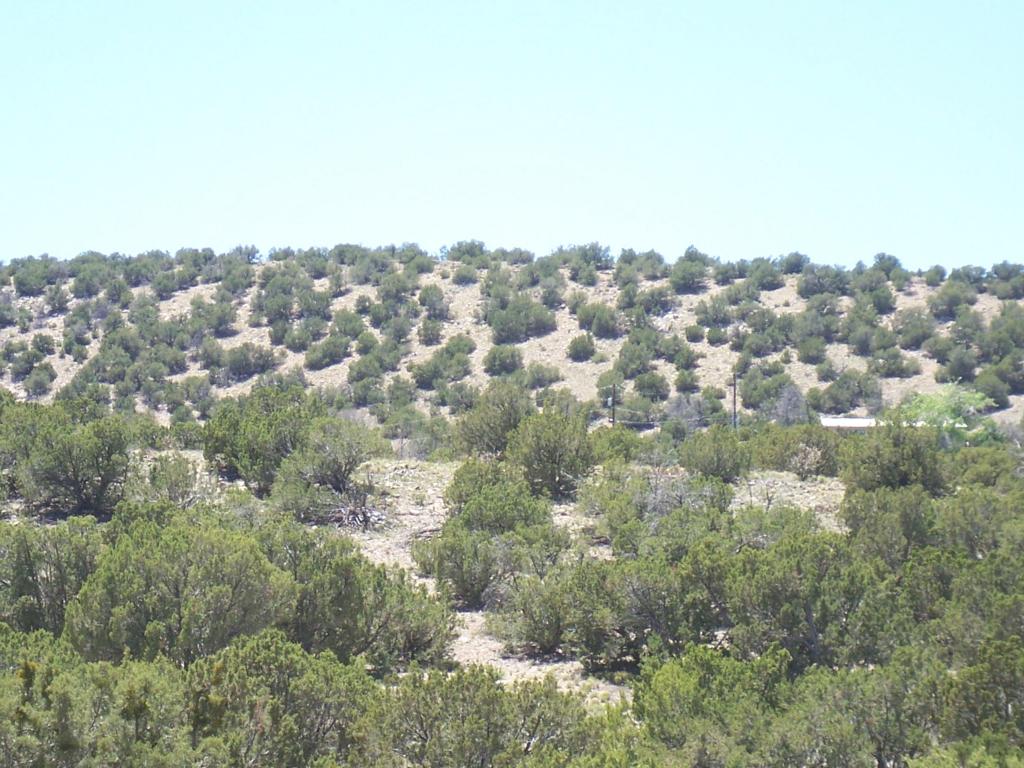 790 HIGHWAY 165, Placitas, NM 87043