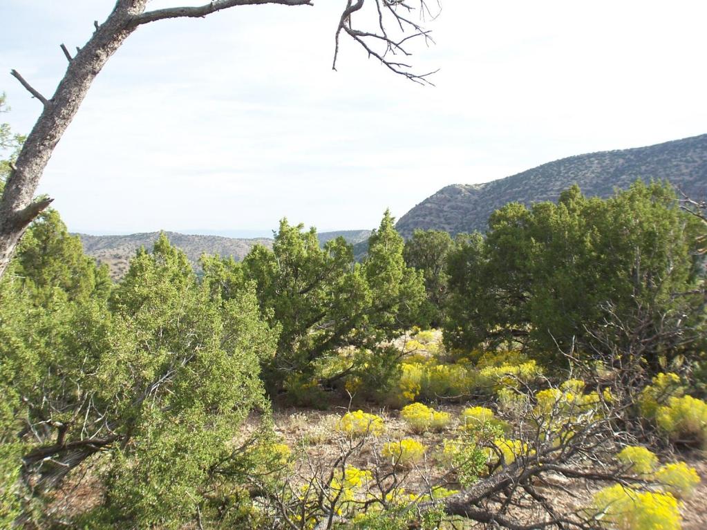 790 HIGHWAY 165, Placitas, NM 87043