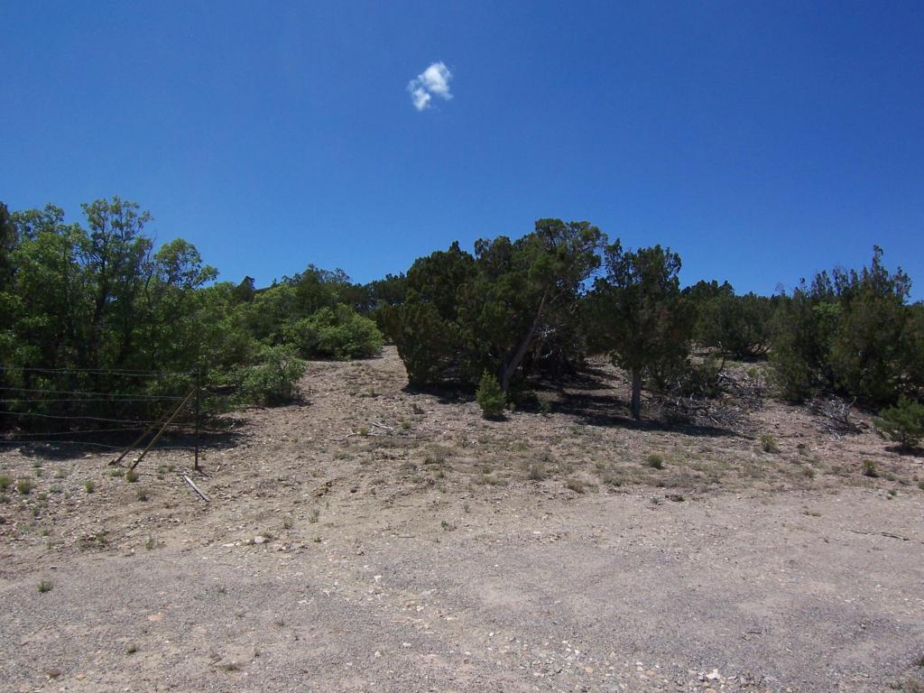 790 HIGHWAY 165, Placitas, NM 87043