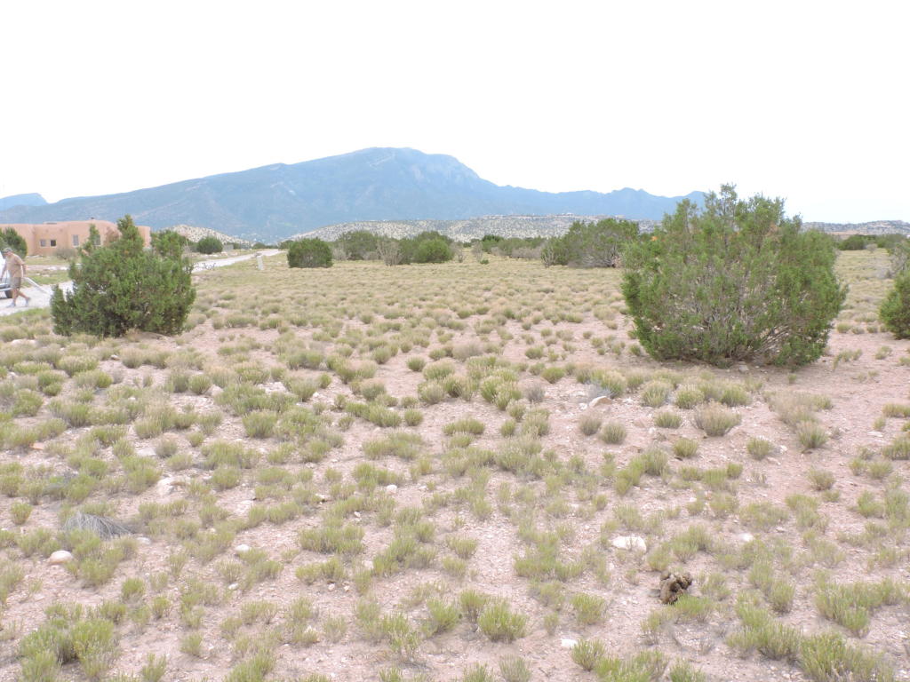 Llano Del Norte, Placitas, NM 87043