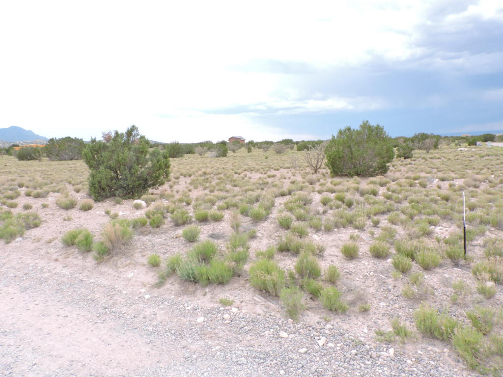 Llano Del Norte, Placitas, NM 87043