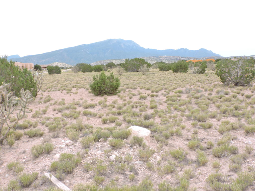 Llano Del Norte, Placitas, NM 87043