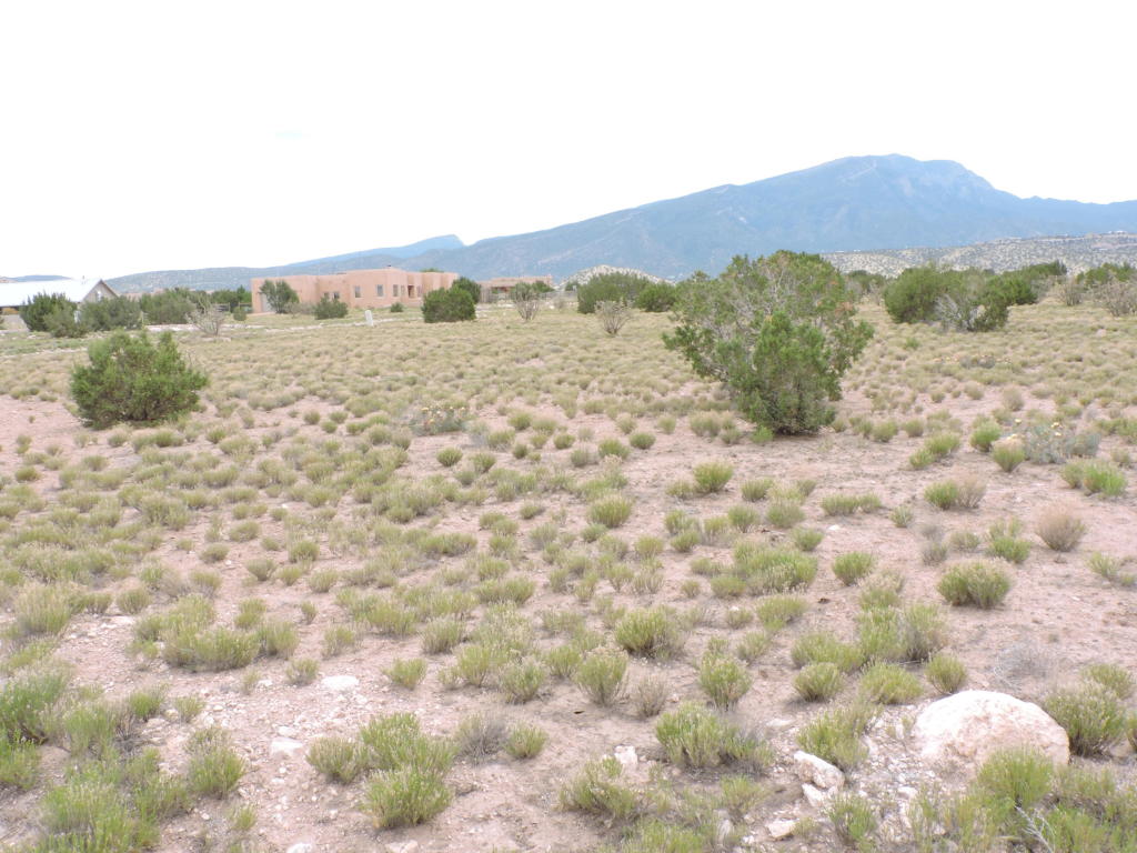 Llano Del Norte, Placitas, NM 87043