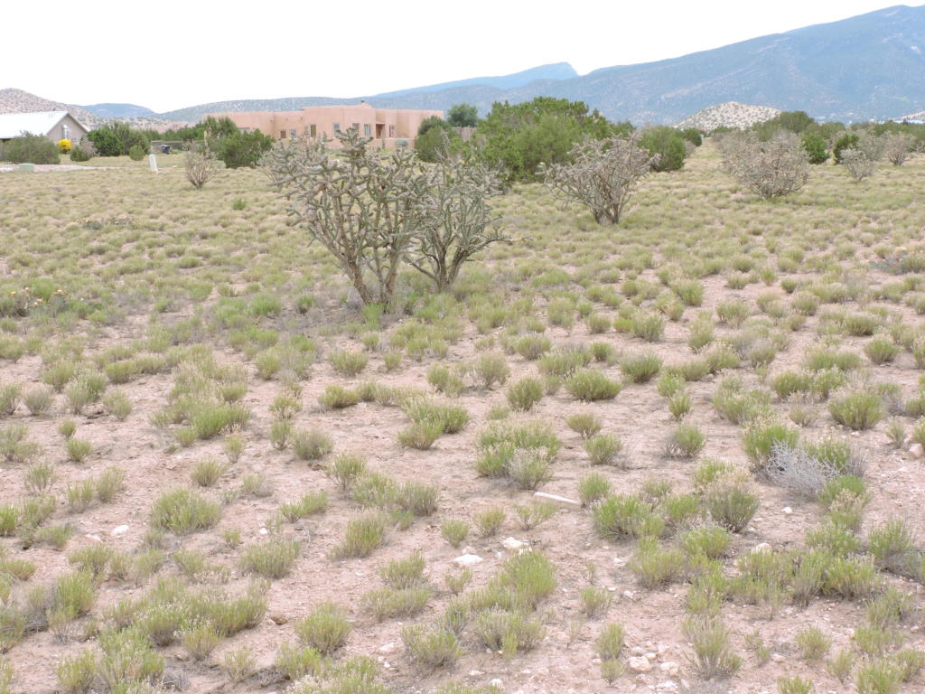 Llano Del Norte, Placitas, NM 87043