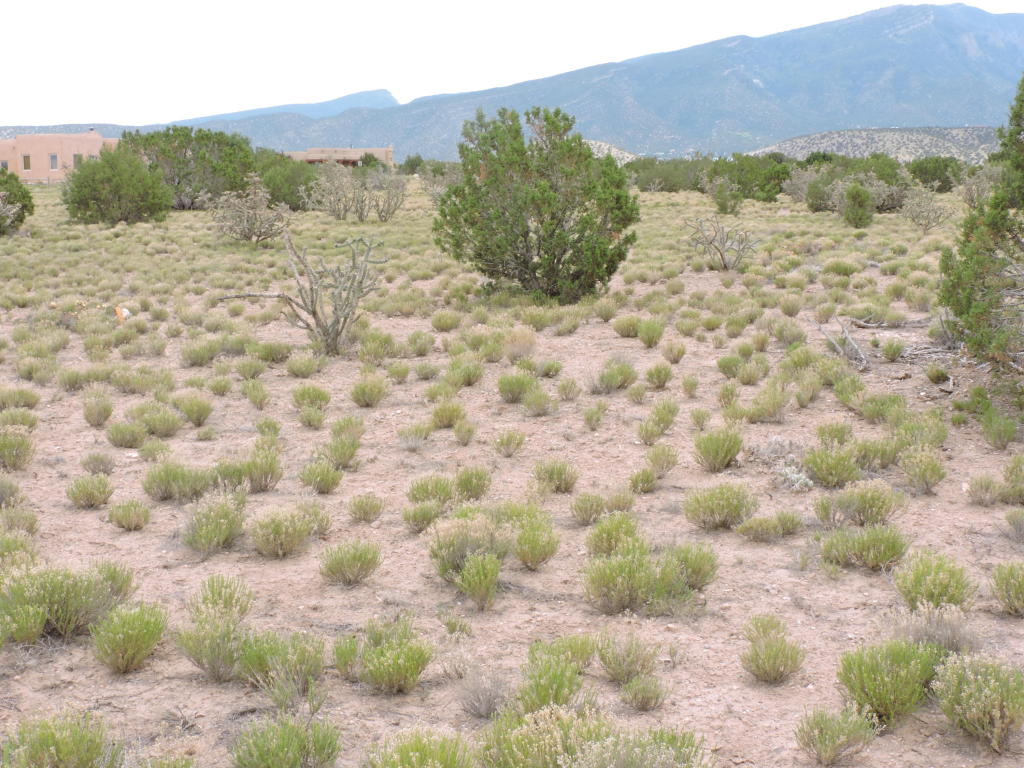 Llano Del Norte, Placitas, NM 87043