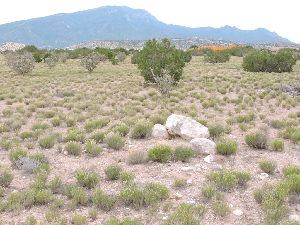 Llano Del Norte, Placitas, NM 87043