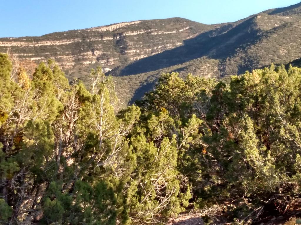 Nighthawk Canyon Road, Placitas, NM 87043