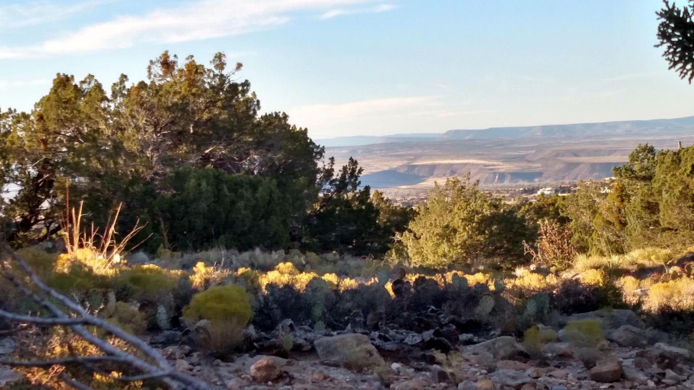 Nighthawk Canyon Road, Placitas, NM 87043