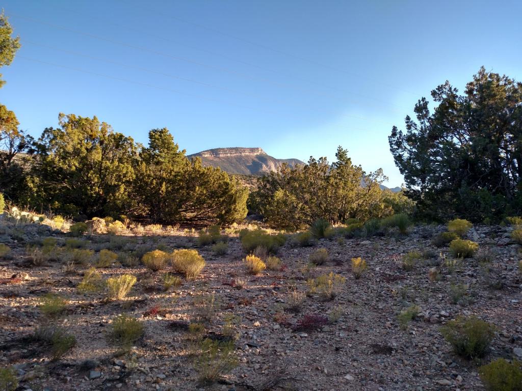 Nighthawk Canyon Road, Placitas, NM 87043