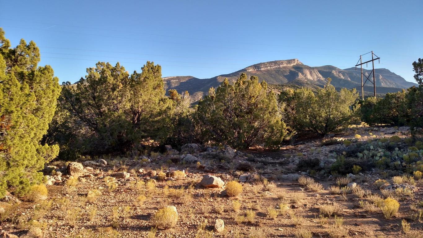 Nighthawk Canyon Road, Placitas, NM 87043
