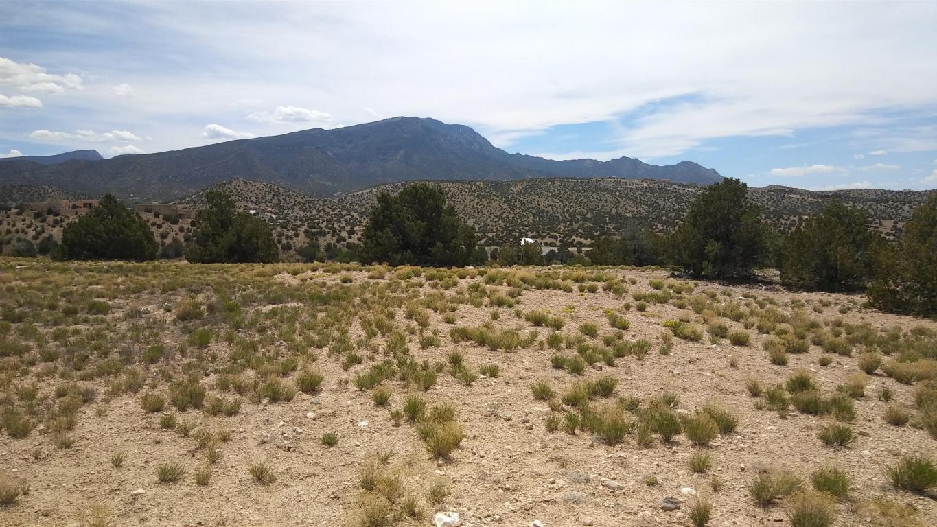 Sarita Marie, Placitas, NM 87043