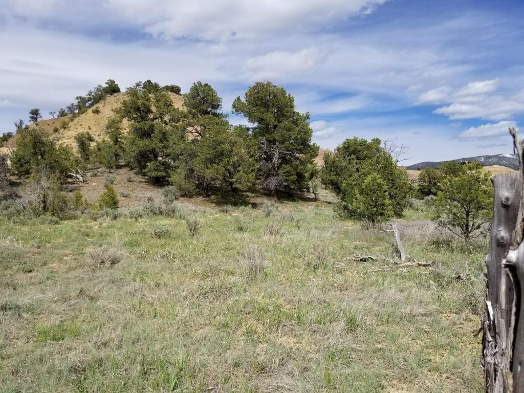 00 NM-96, Regina, NM 87046