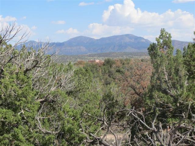 Stagecoach Road, Sandia Park, NM 87047