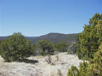 Stagecoach Road, Sandia Park, NM 87047