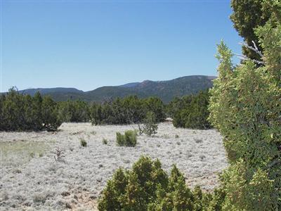 Stagecoach Road, Sandia Park, NM 87047