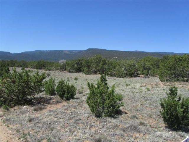 Stagecoach Road, Sandia Park, NM 87047