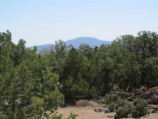 Stagecoach Road, Sandia Park, NM 87047