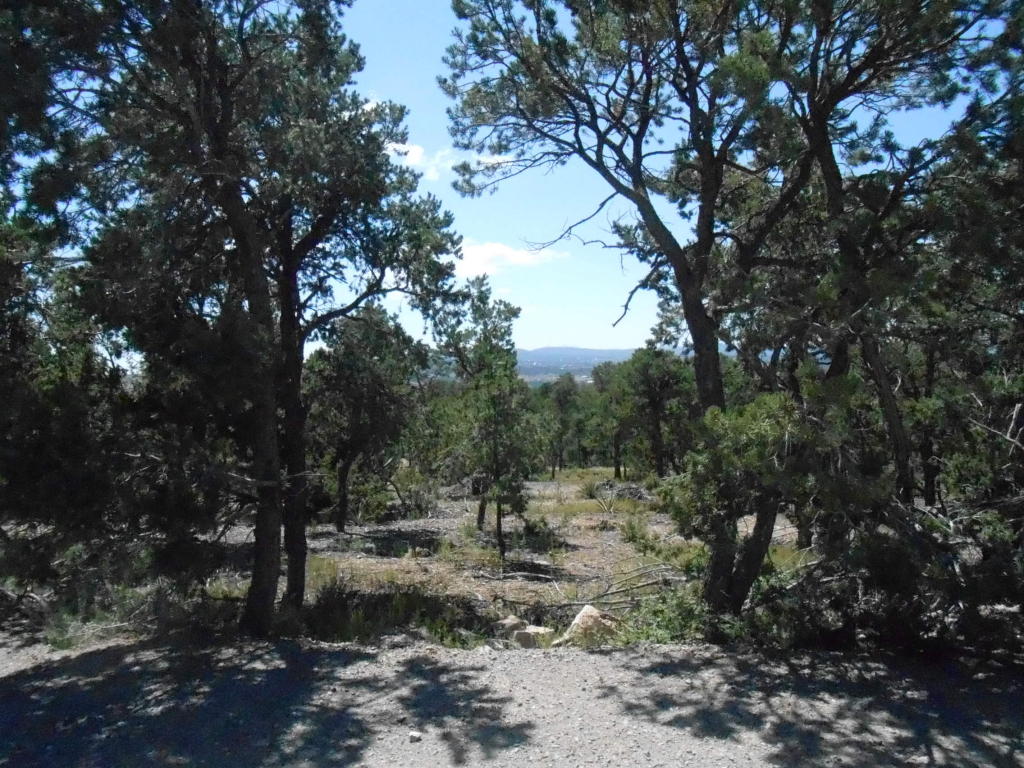 53 Crystal Lane, Sandia Park, NM 87047