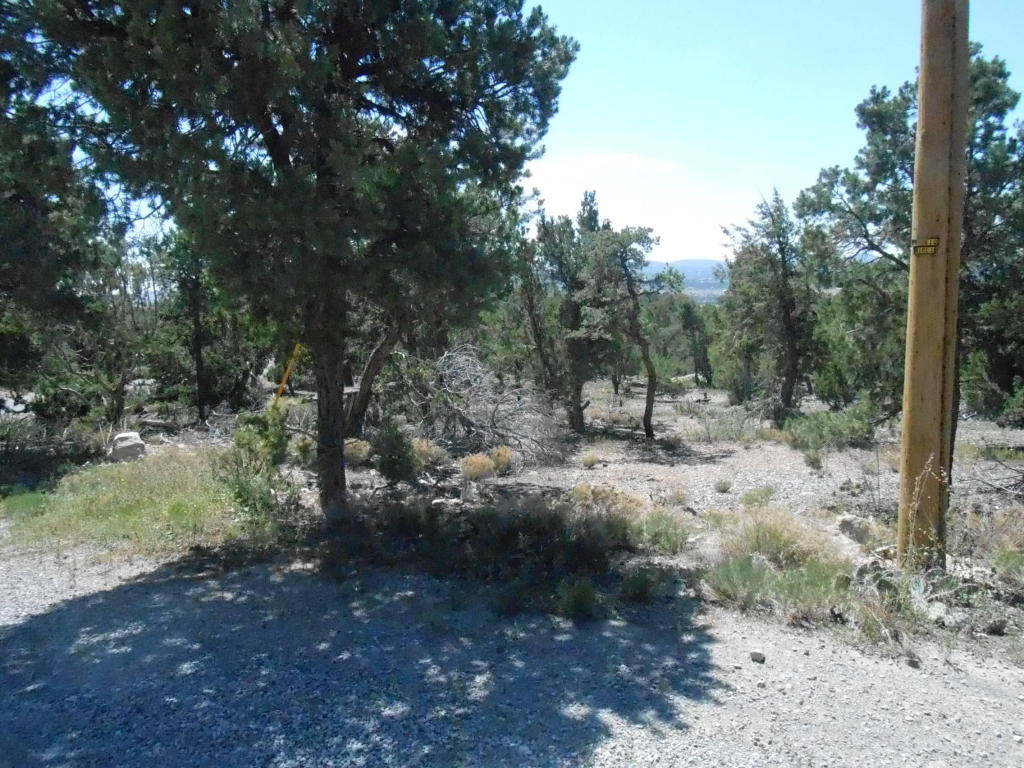 53 Crystal Lane, Sandia Park, NM 87047
