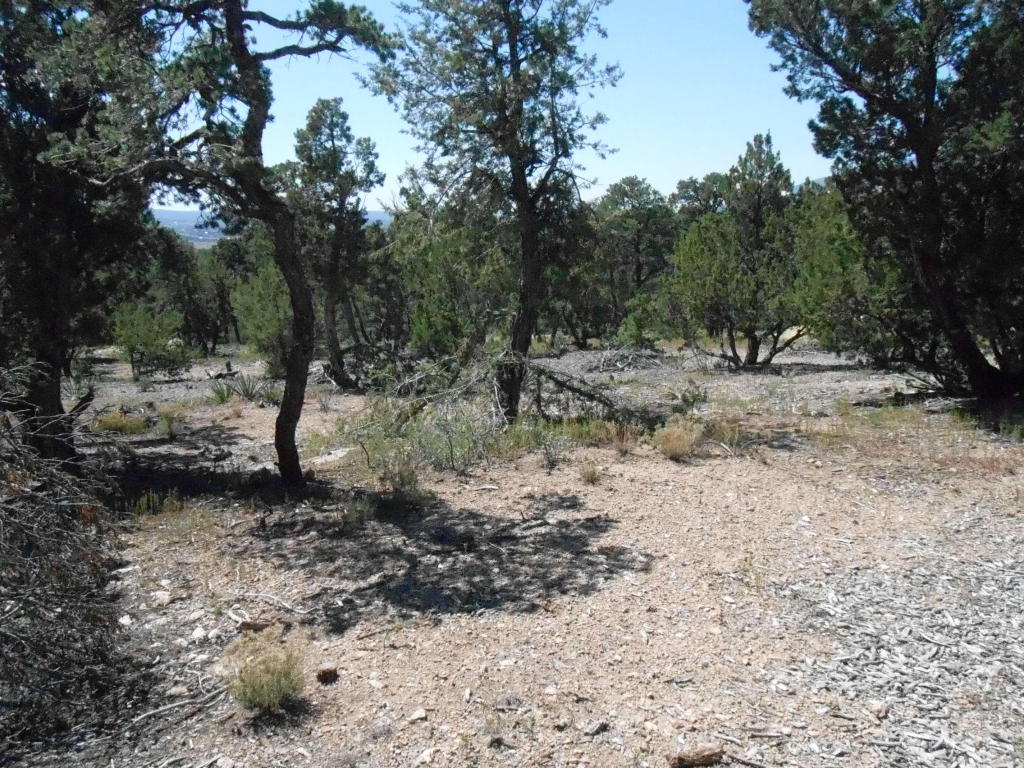 53 Crystal Lane, Sandia Park, NM 87047