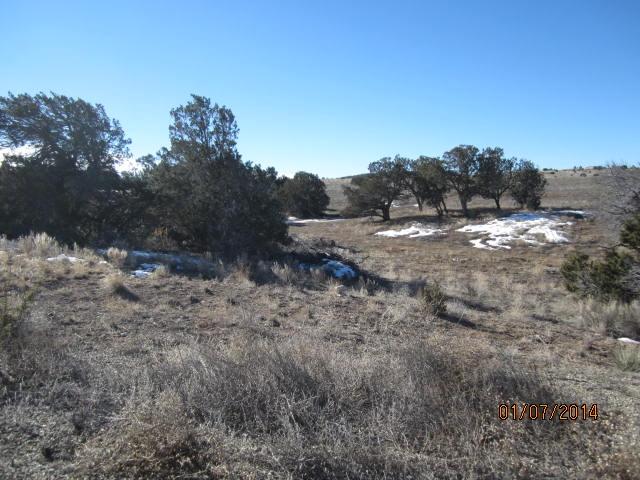 0 ALBA PRADO, Sandia Park, NM 87047