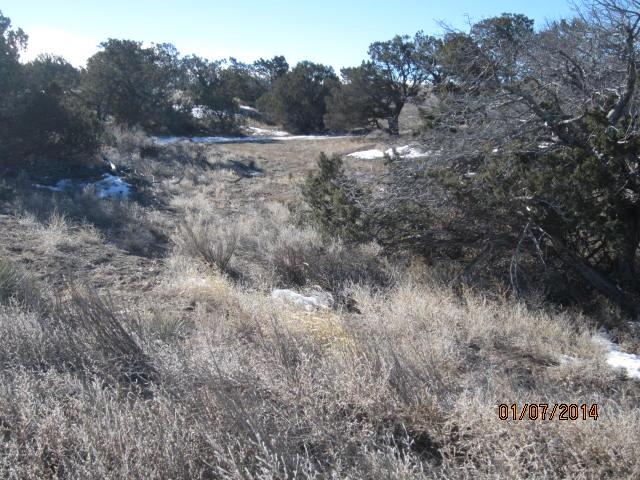 0 ALBA PRADO, Sandia Park, NM 87047