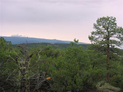 21 Stagecoach Trail, Sandia Park, NM 87047