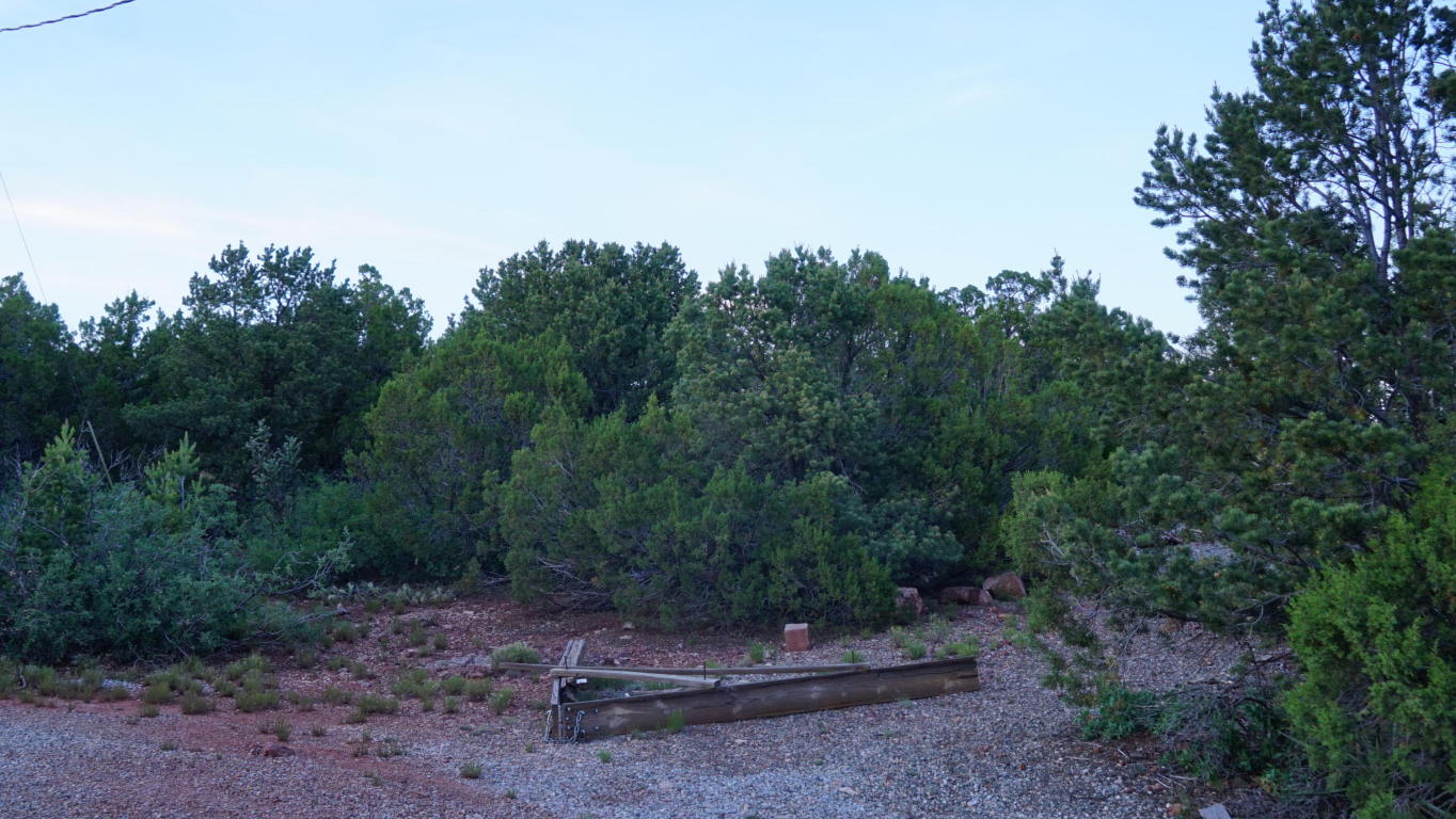 0 Geer Rd., Sandia Park, NM 87047