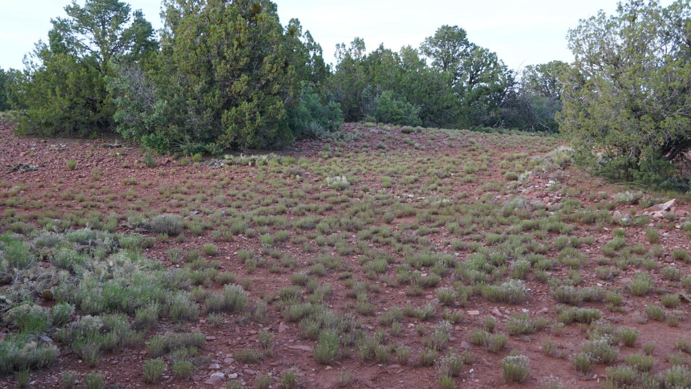 0 Geer Rd., Sandia Park, NM 87047