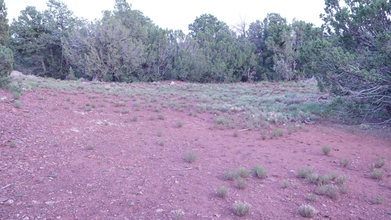 0 Geer Rd., Sandia Park, NM 87047